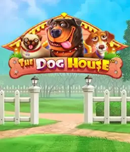 Experience Pragmatic Play's The Dog House, offering an adorable adventure through charming canines. Engage in gameplay elements such as sticky wilds, aimed at delivering exciting wins. A must-try for animal enthusiasts a cheerful theme alongside lucrative rewards.